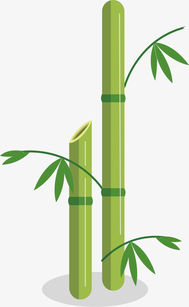 竹子图竹叶图片素材手绘竹子