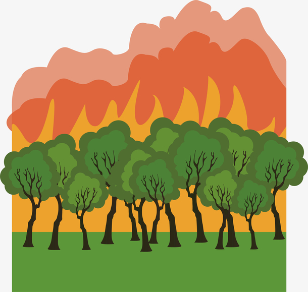 自然灾害森林大火
