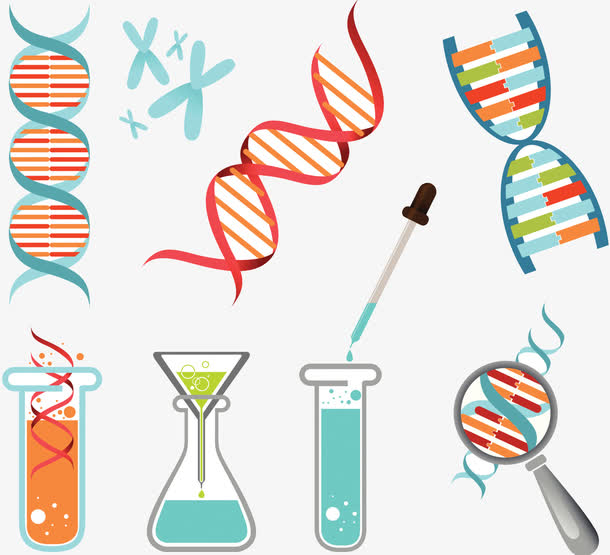 一组生物化学图案