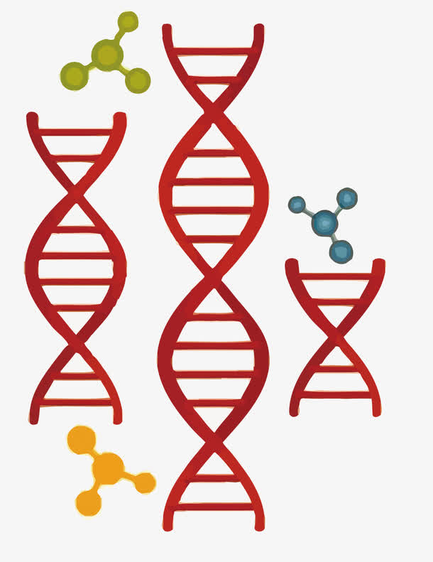 科学实验元素