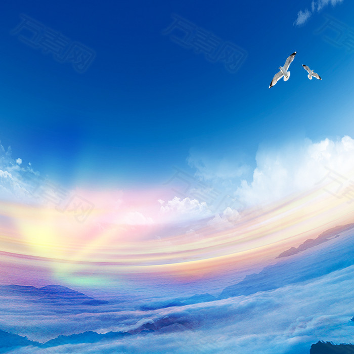 蓝天白云海鸥彩虹自然摄影清新唯美主图