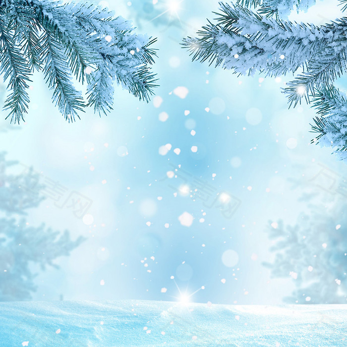 万素网 背景图片 主图/直通车 梦幻 浪漫冬季雪花松枝背景  图片素材