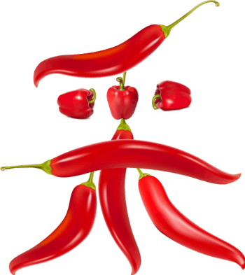 辣字