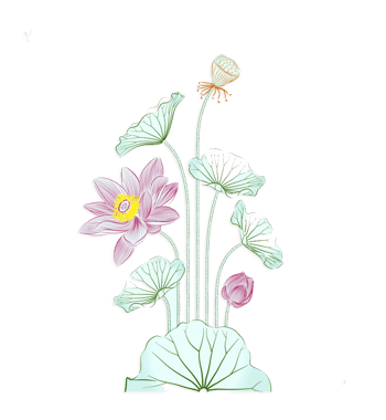 ˮʺɻ