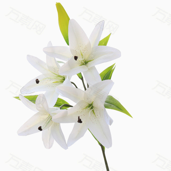 百合花 白色花 花 盛开的花朵 绢花 布艺花