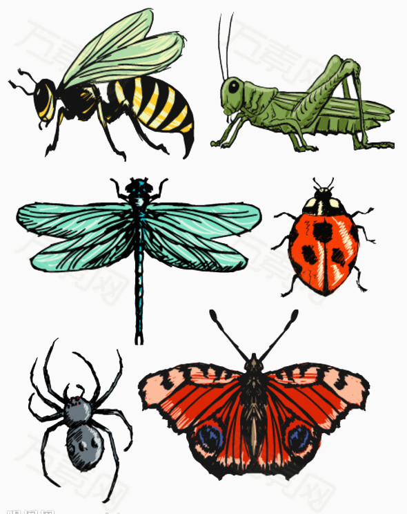 万素网 素材分类 卡通昆虫  7099                           提示