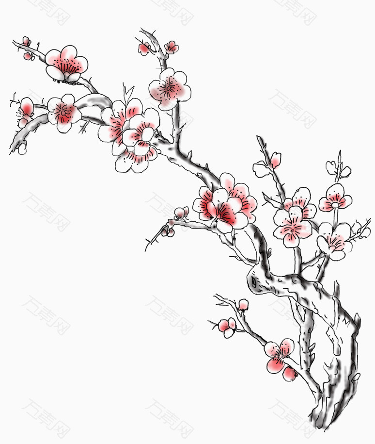 一枝梅花_卡通手绘_774*915px_编号3368564_png格式