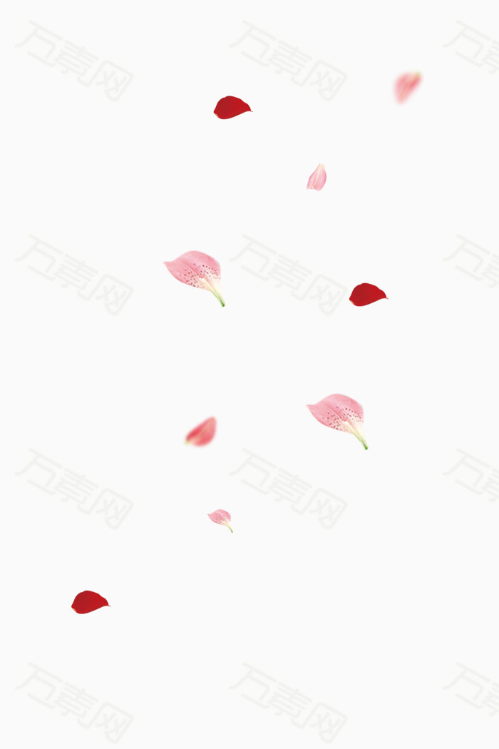 飘落的花瓣
