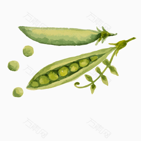 豆荚免扣蔬菜图片_卡通手绘_567*567px_编号4020630_png格式_万素网