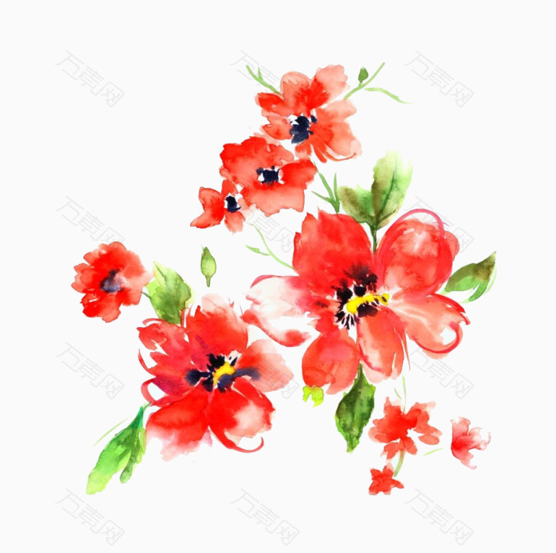 红色水彩石榴花