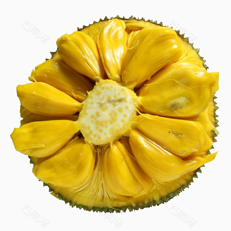 菠萝蜜高清素材