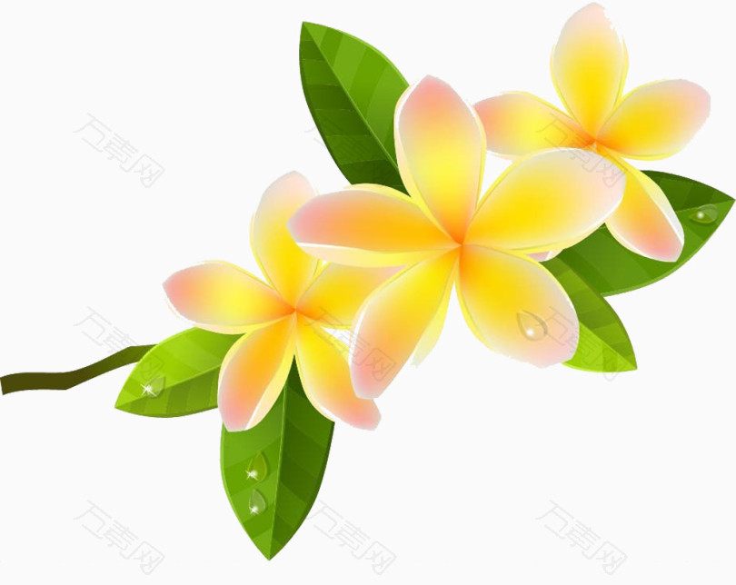 卡通鸡蛋花图片素材