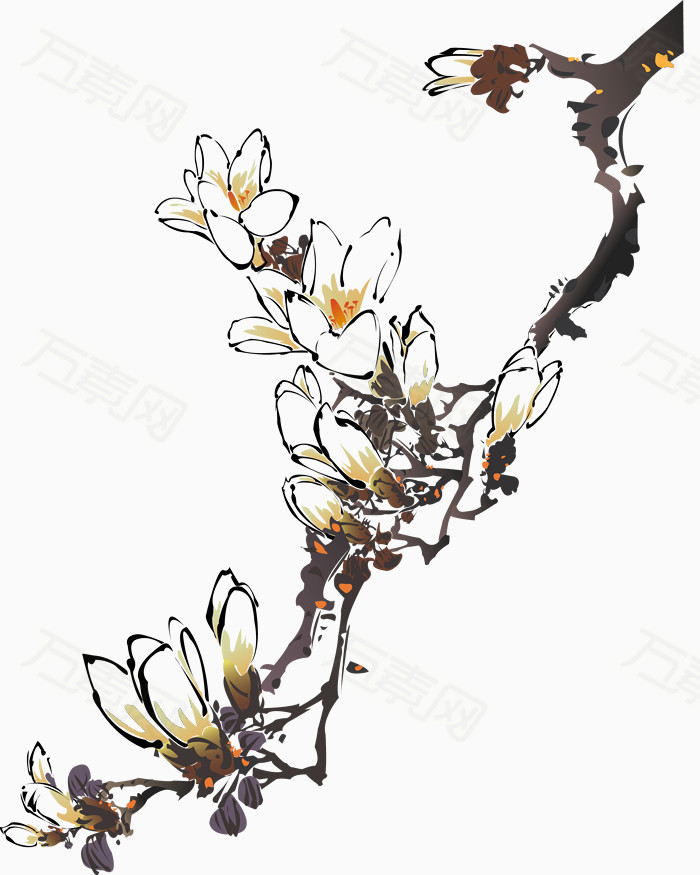 白玉兰,手绘,中国水墨,春天,鸟语花香