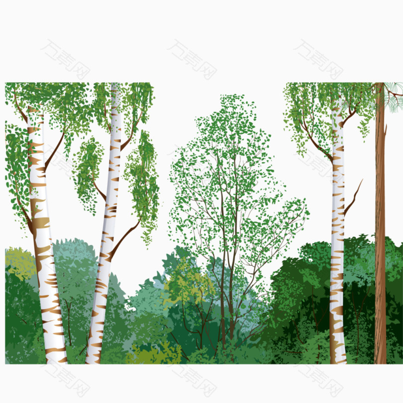 高大挺拔的白杨树矢量素材_卡通手绘_1667*1667px