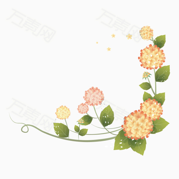 手绘花卉    花卉边框    花卉装饰    花朵边框