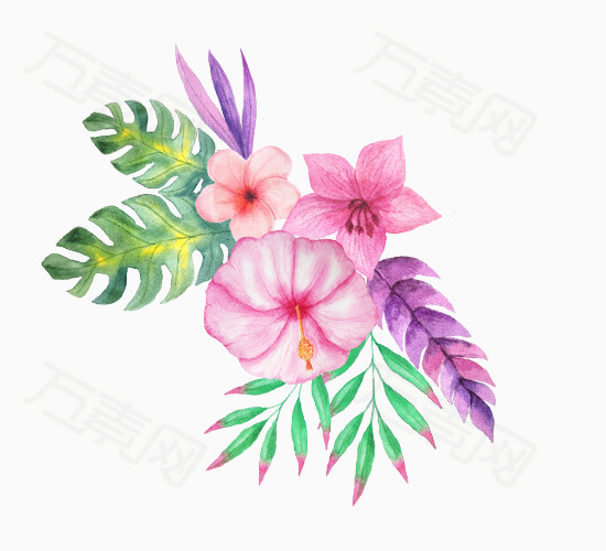 手绘 唯美 鲜花 彩绘     