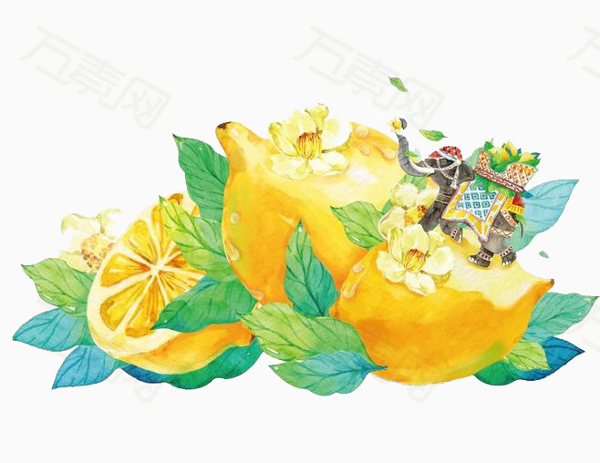 柠檬 水果 酸 果实 水果手绘 