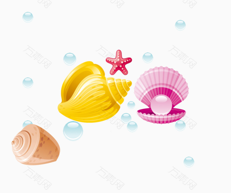 海螺贝壳珍珠