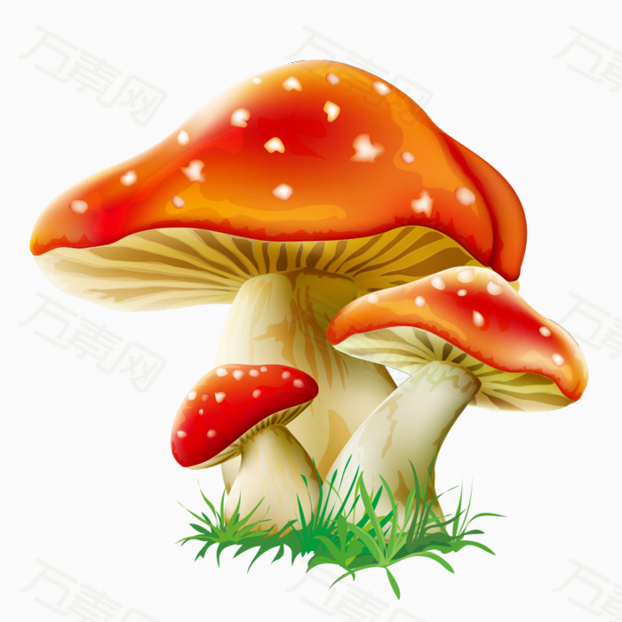 卡通 精美 蘑菇 清新 梦幻 可爱图案 手绘