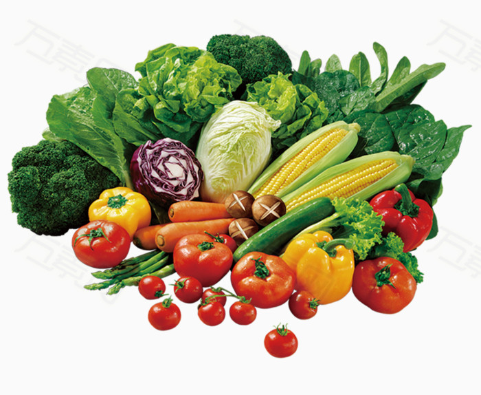 万素网 素材分类 蔬菜素材图片  3512      
