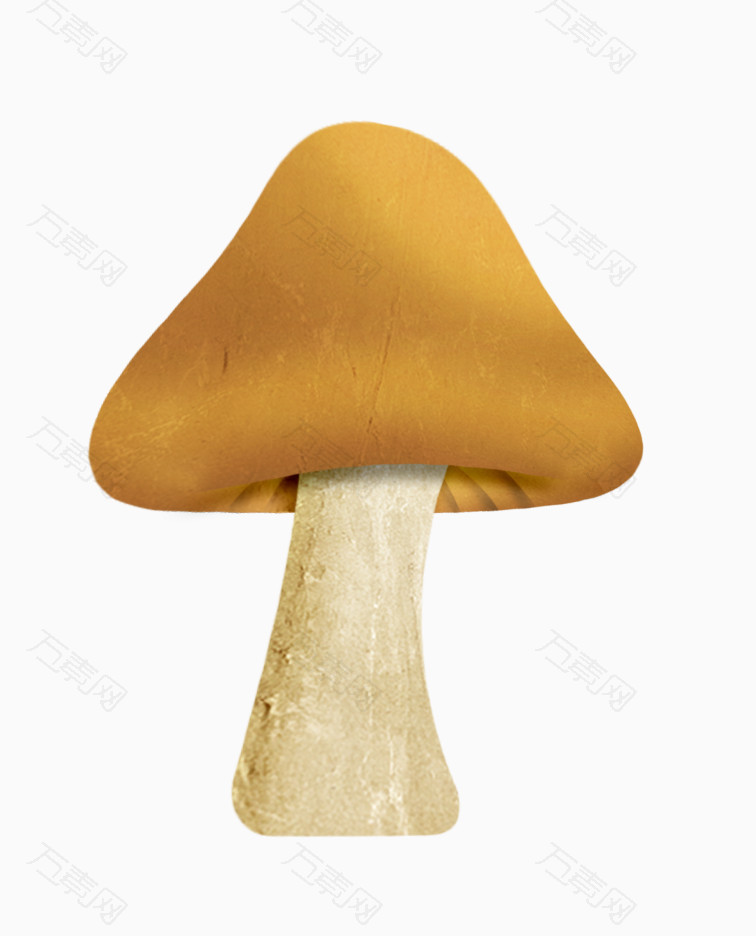 植物蘑菇伞菇_装饰元素_756*936px_编号2648804_png格式_万素网