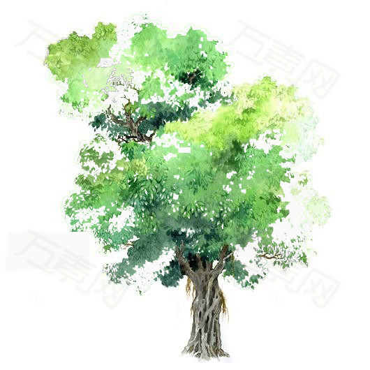透明树木素材手绘树木素材