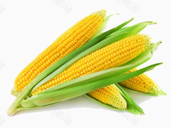 金黄玉米