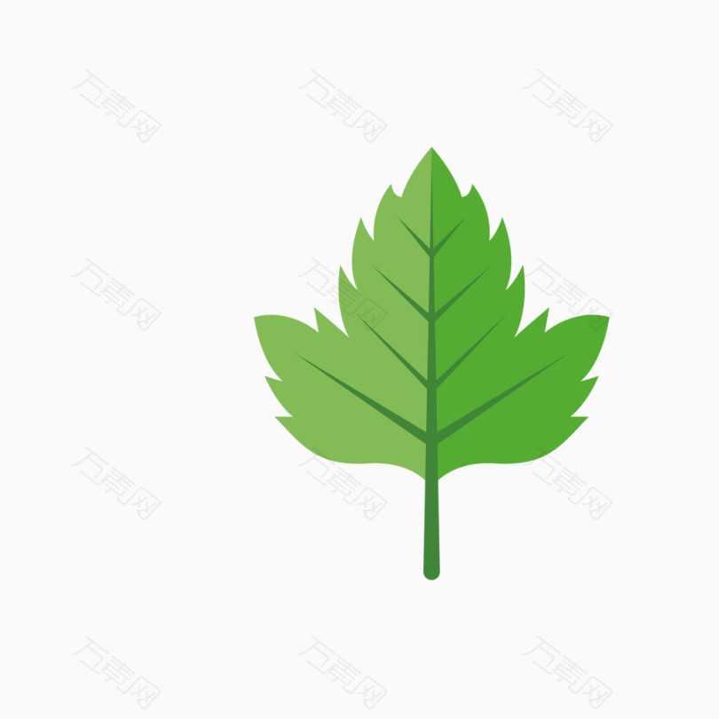 免抠元素 绿色法国梧桐树叶 编号4240174 分类不规则图形 颜色模式rgb