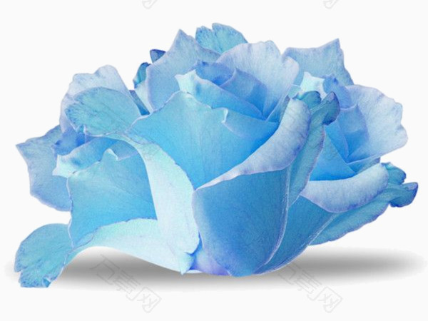 手绘水彩蓝色纸花