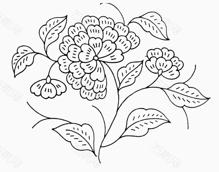 黑白花瓣