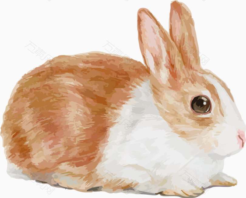 矢量手绘可爱小兔子素材