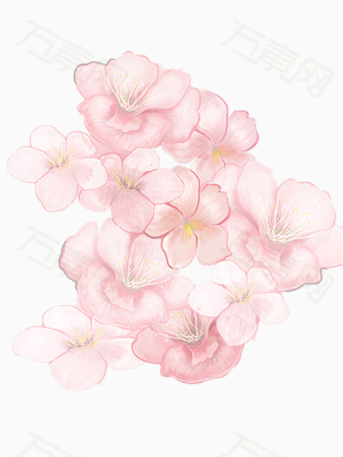 手绘唯美樱花