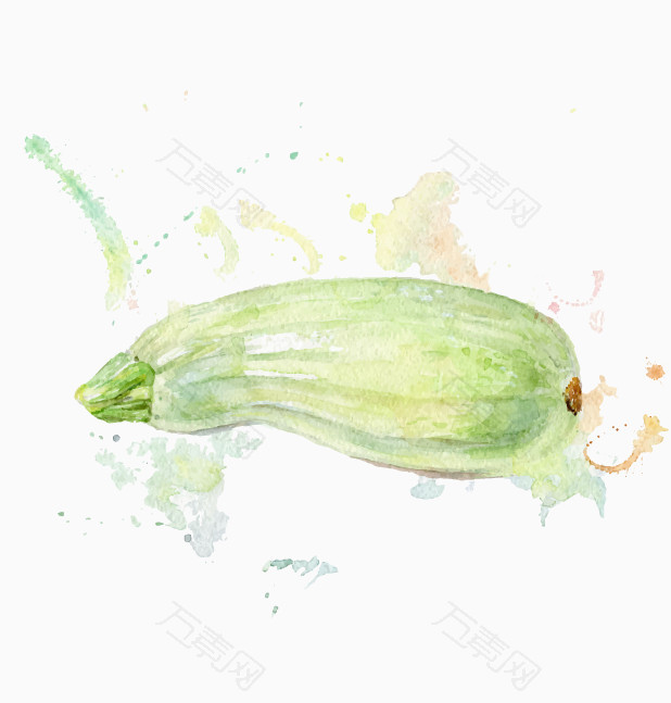 手绘西葫芦矢量_卡通手绘_618*647px_编号2850343_png