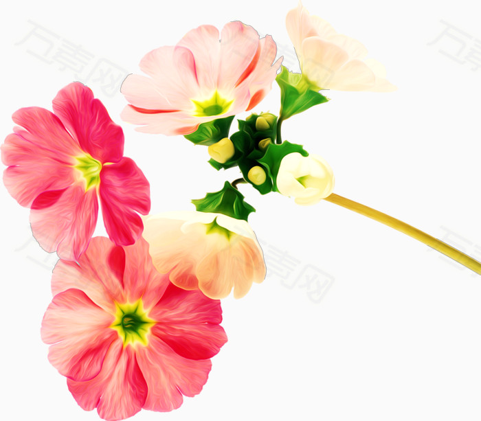小花免费下载_装饰元素_1024像素_编号2043640_png