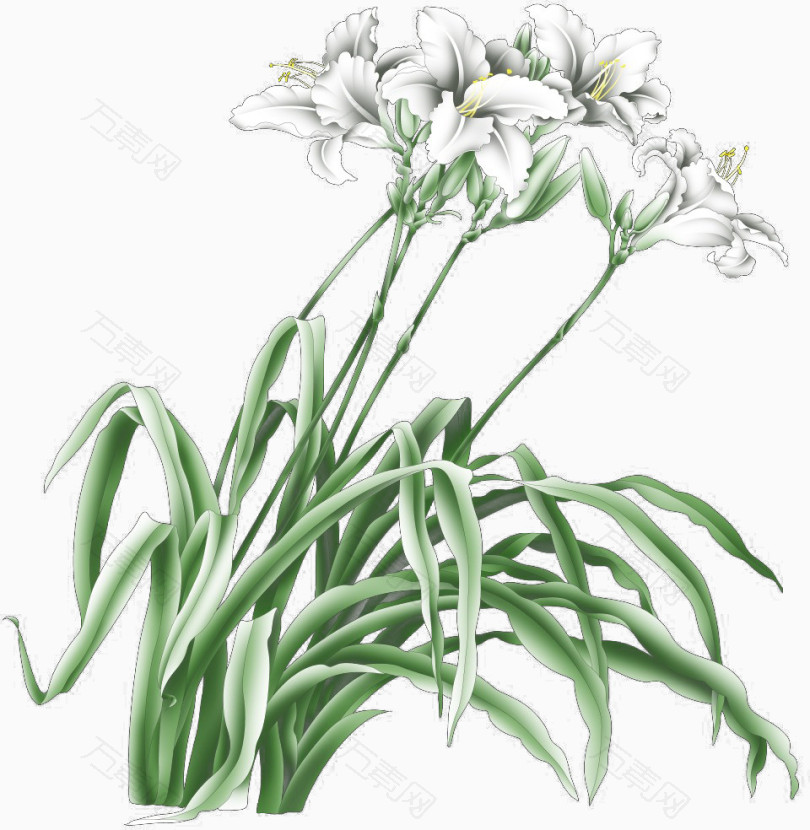 兰花效果元素免抠素材