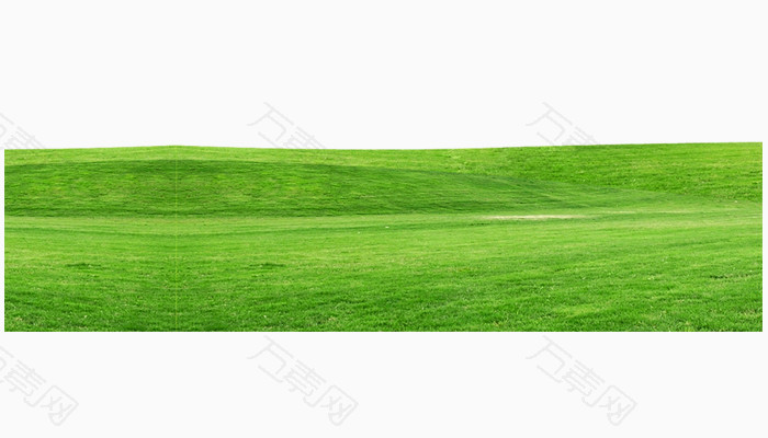 绿色草地