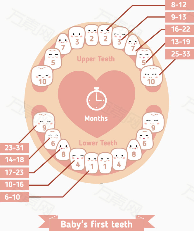 万素网 素材分类 矢量可爱卡通牙齿注解素材  6144