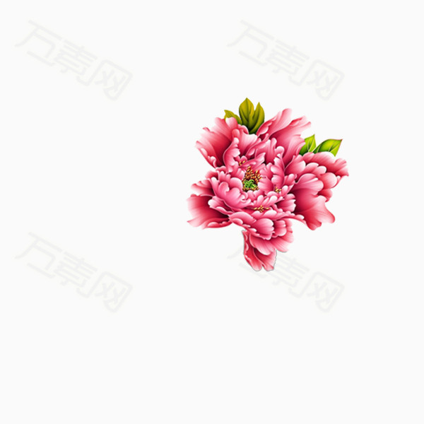红色牡丹花 单朵花png素材 海报素材 点缀花朵