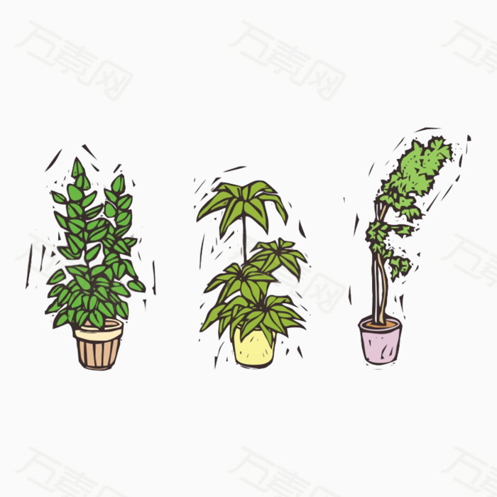手绘植物
