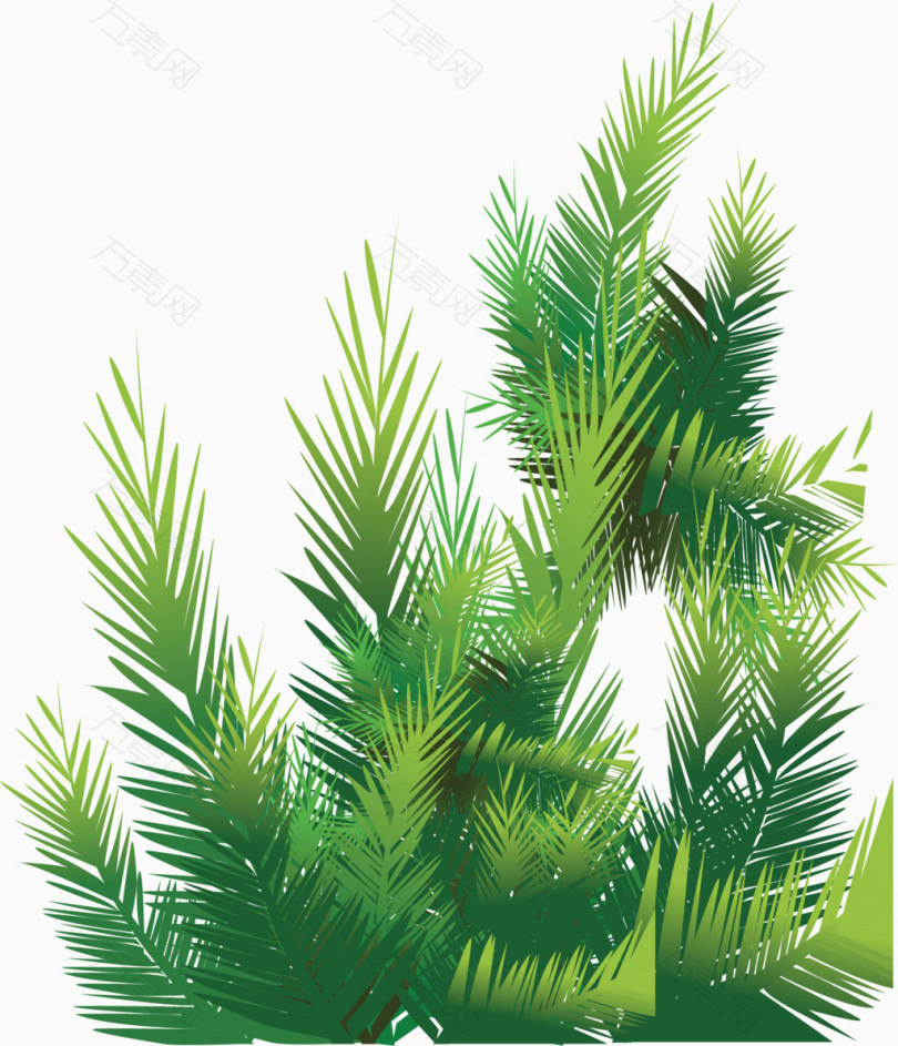 卡通手绘绿色热带针叶植物矢量图图片