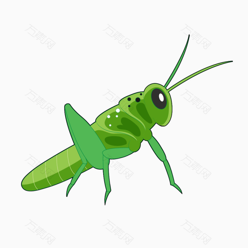 绿色卡通蝗虫