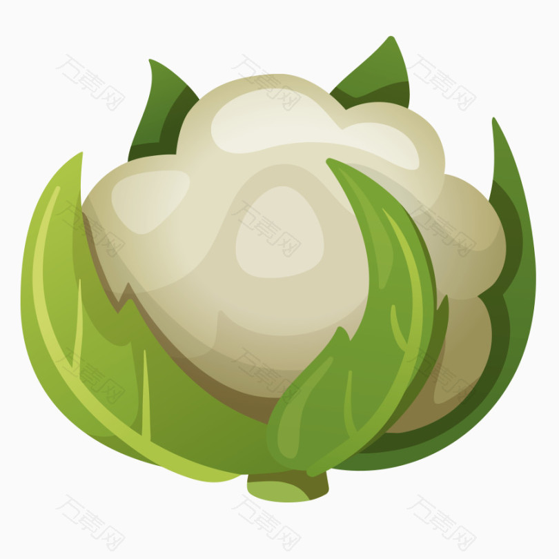 花菜_卡通手绘_900*900px_编号97215_png格式_万素网