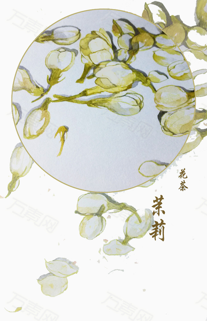 茉莉花茶图标