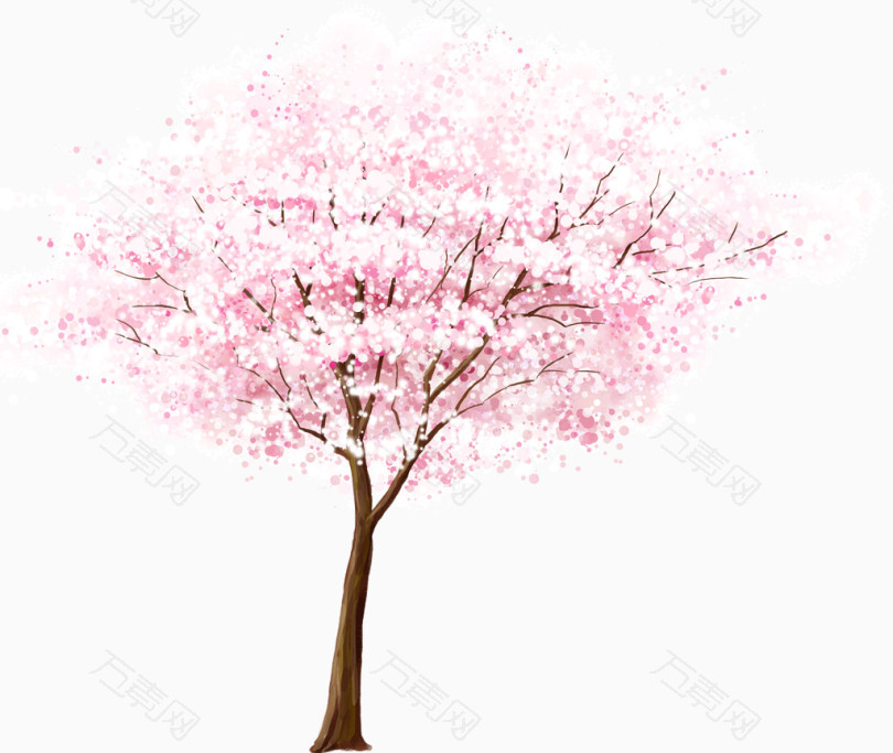 美丽的樱花树