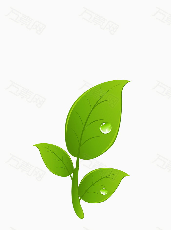树叶免费下载   树叶  矢量树叶  卡通树叶