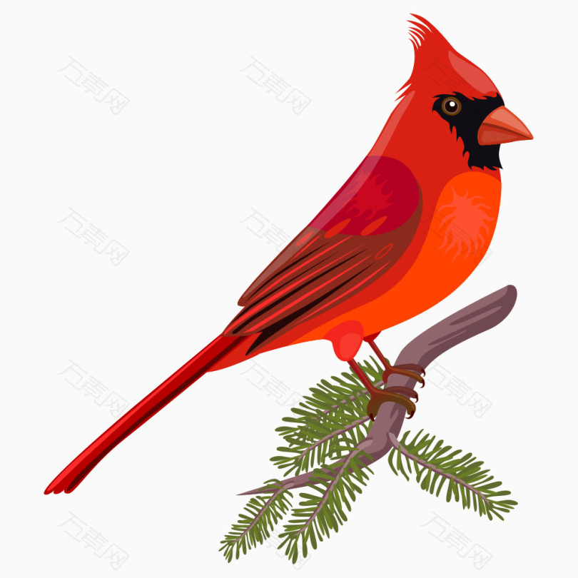 红色鸟
