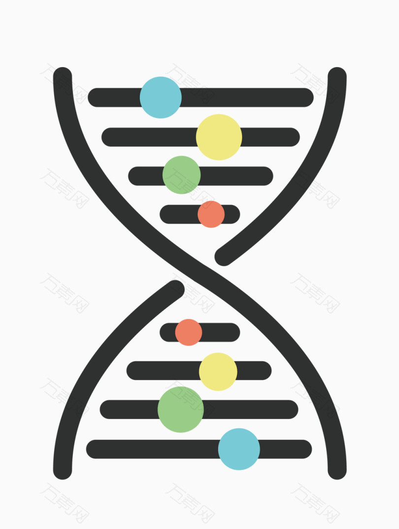 矢量dna结构素材