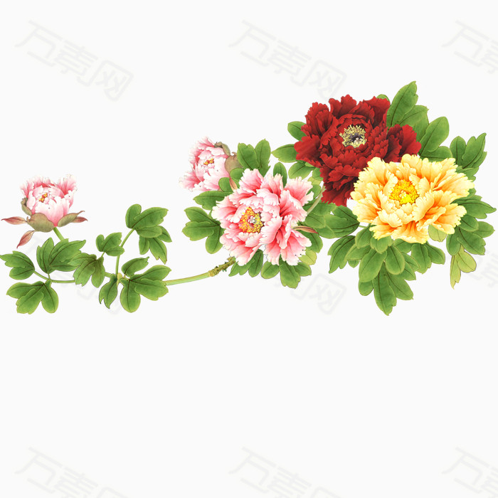 万素网 免抠元素 其他 牡丹花  万素网提供牡丹花png设计素材,背景