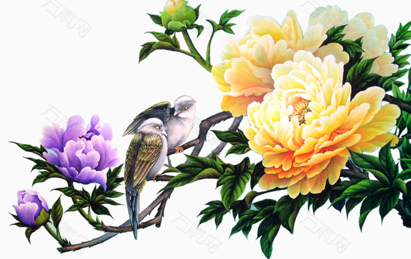 富贵花