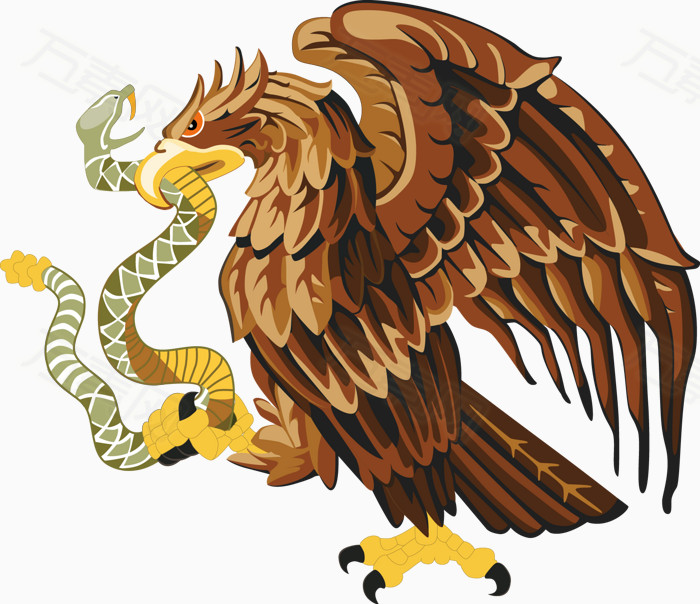 矢量老鹰